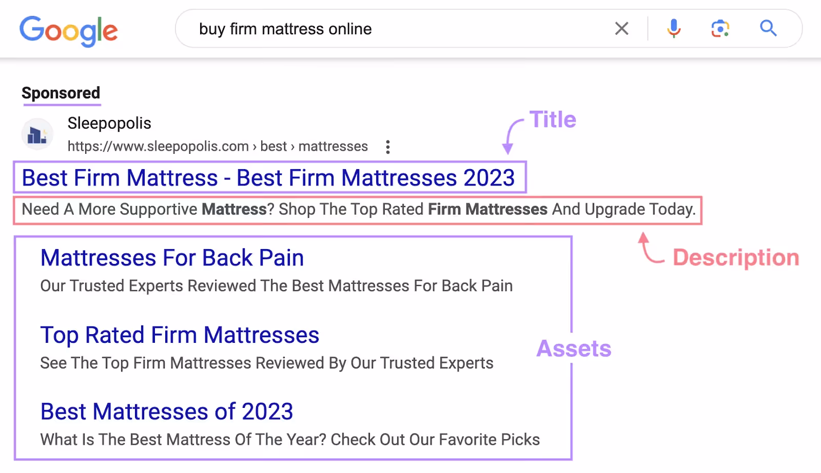 Semrush screenshot - Paid Search Google