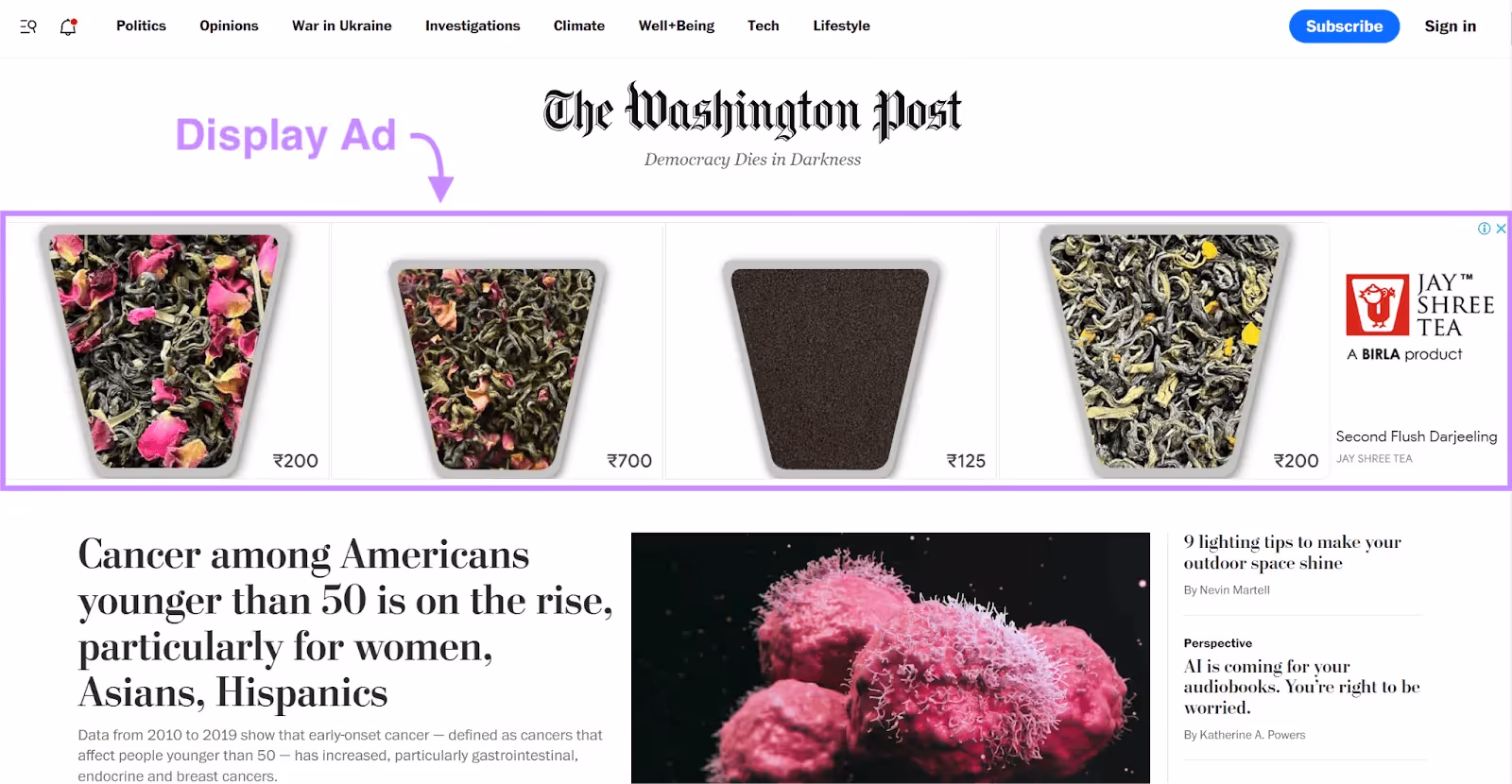 Display Ad Example