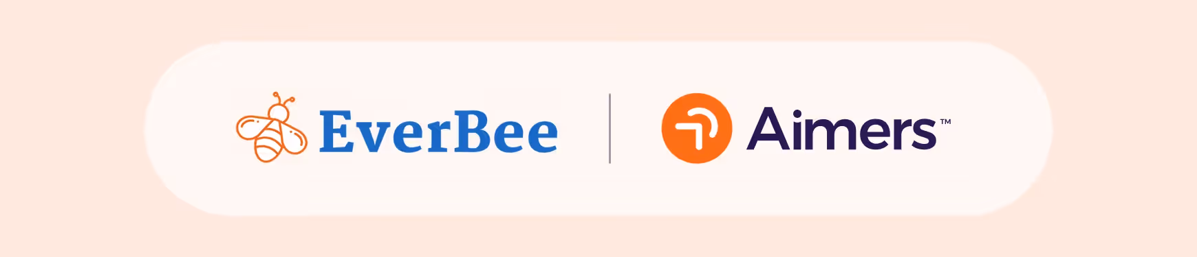 How we increased Purchases and Revenue for EverBee during the Black Friday