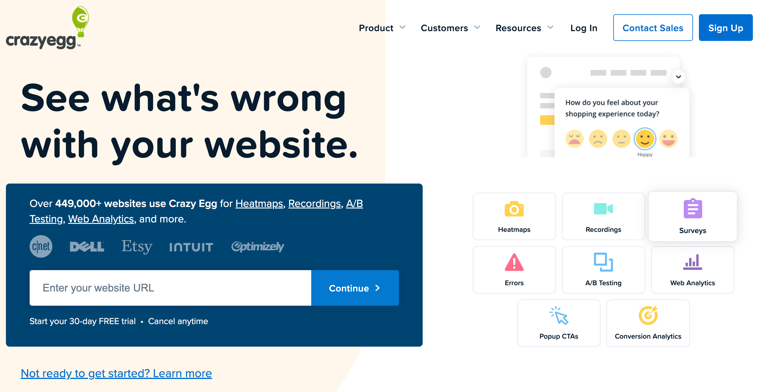 Crazy egg homepage