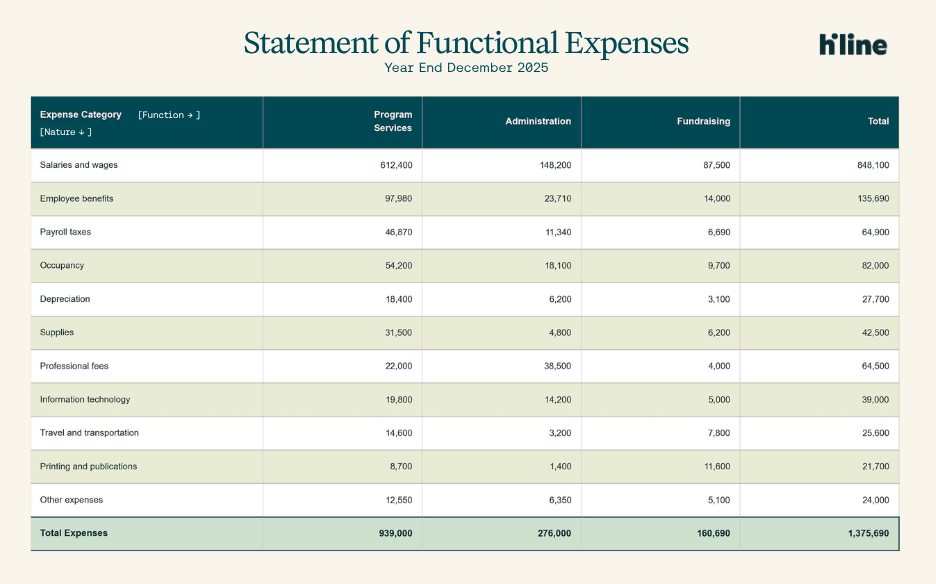 Example Statement of Functional Expenses