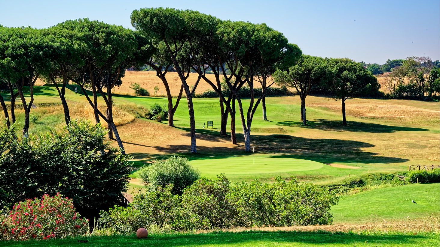 __wf_reserved_inherit