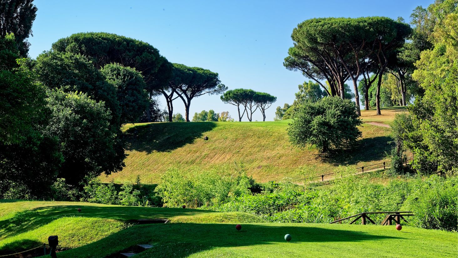 __wf_reserved_inherit