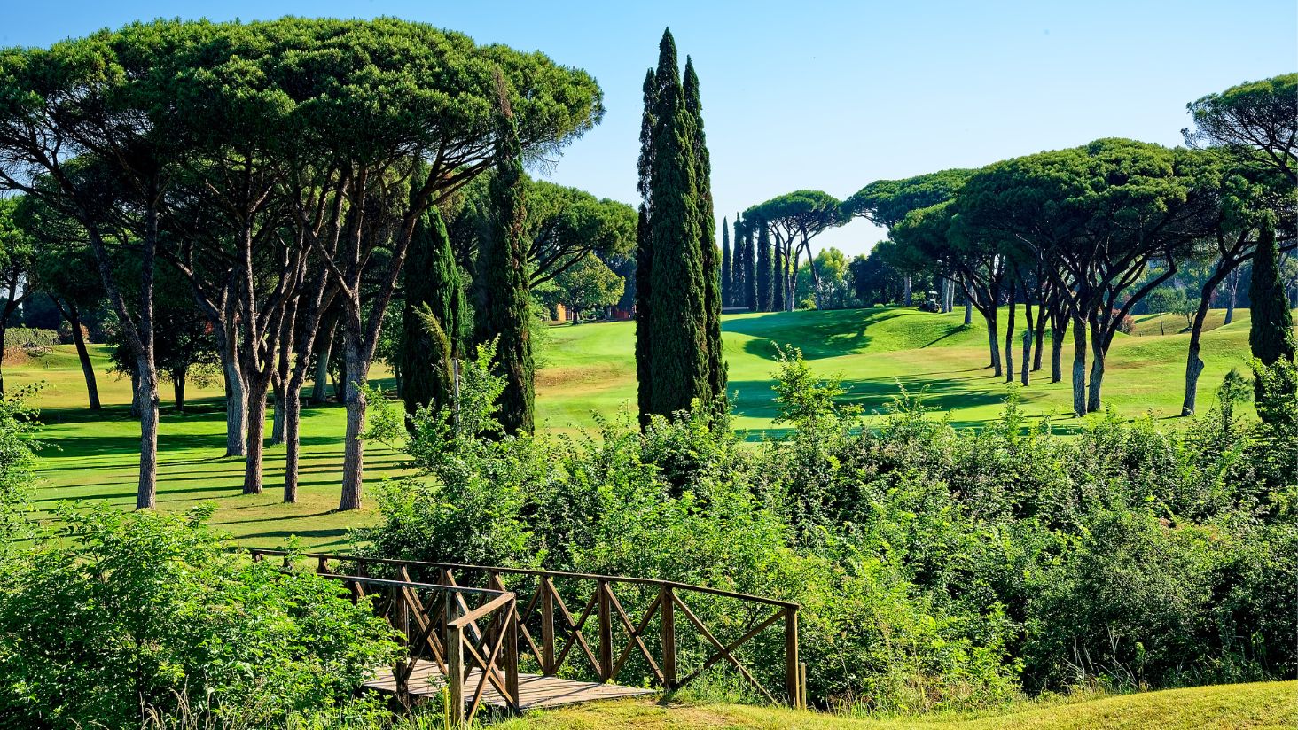 __wf_reserved_inherit