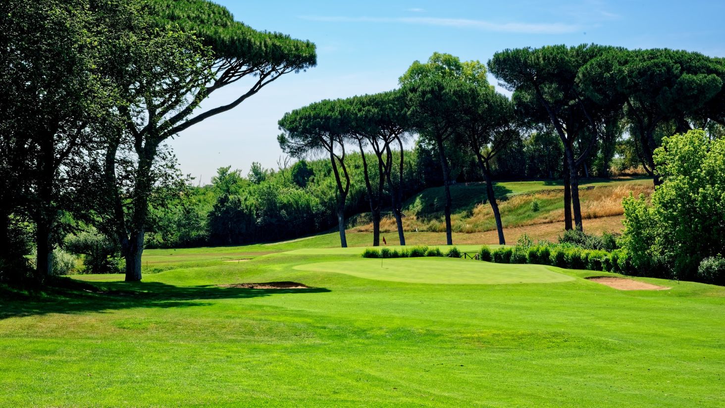 __wf_reserved_inherit