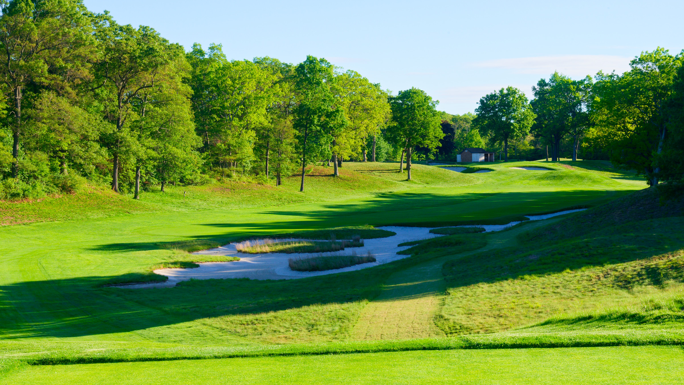 __wf_reserved_inherit