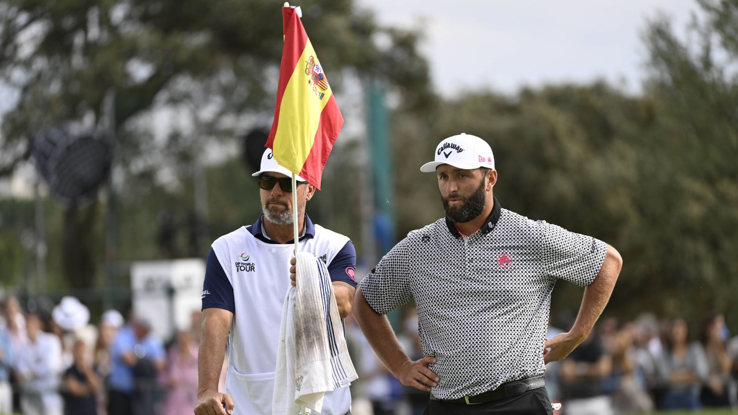 This is a custom description