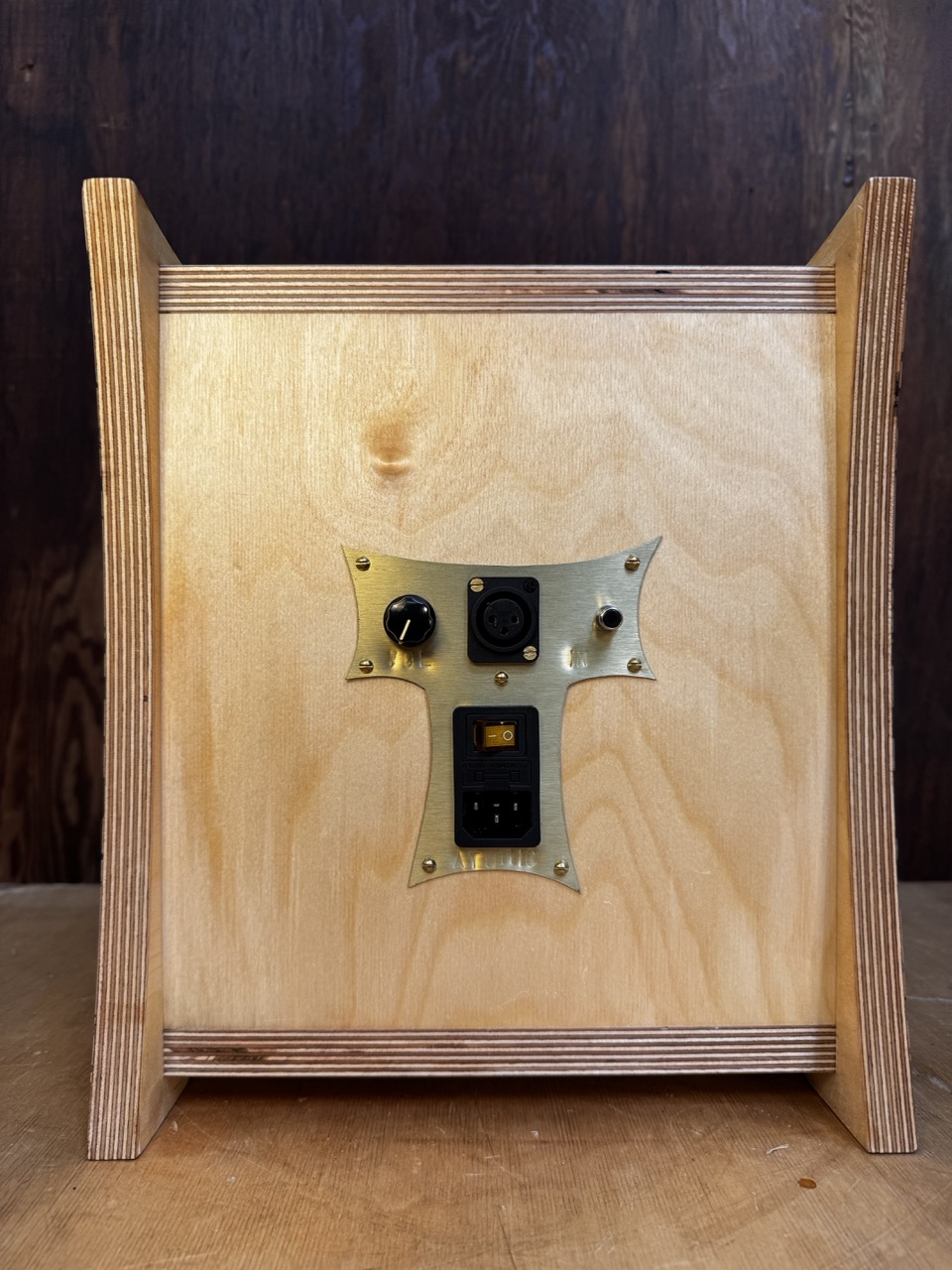 Rear view of Atomic Bookshelf Monitor handmade by Desmond Bowe of Tiki Tube Amps showing the custom tiki "T" brass control plate holding power switch, volume control, and line inputs.