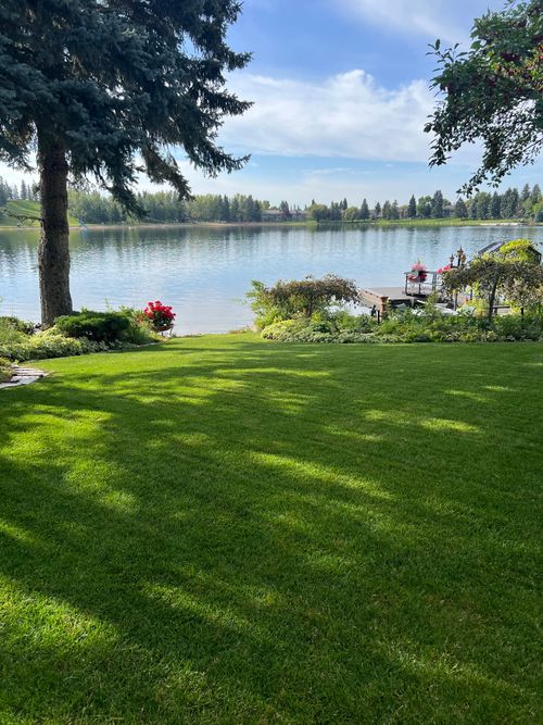 The Green Effect photo 2