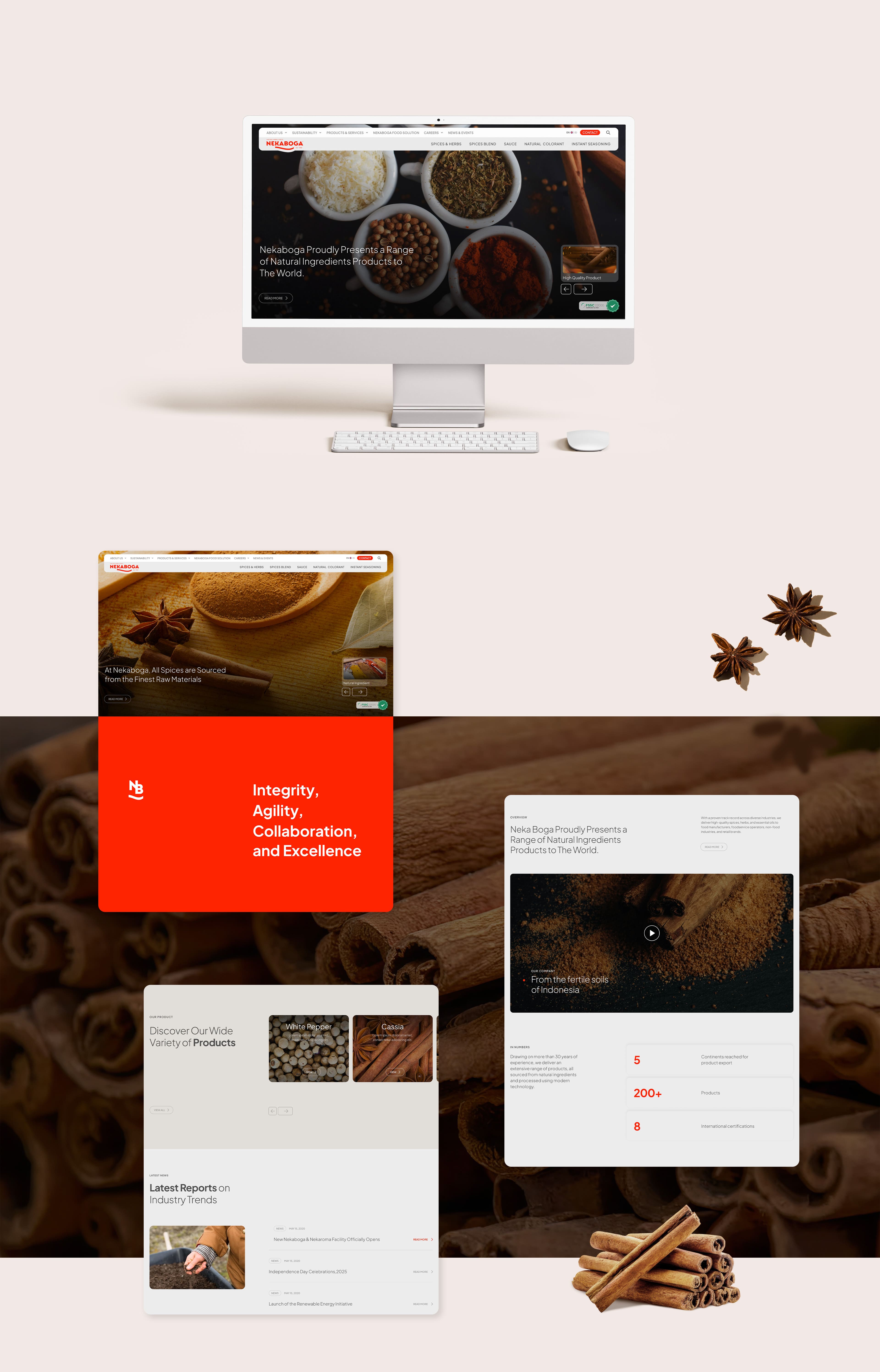 Neka Boga's Website