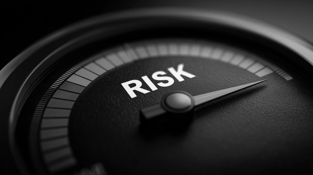 Risk assessment meter