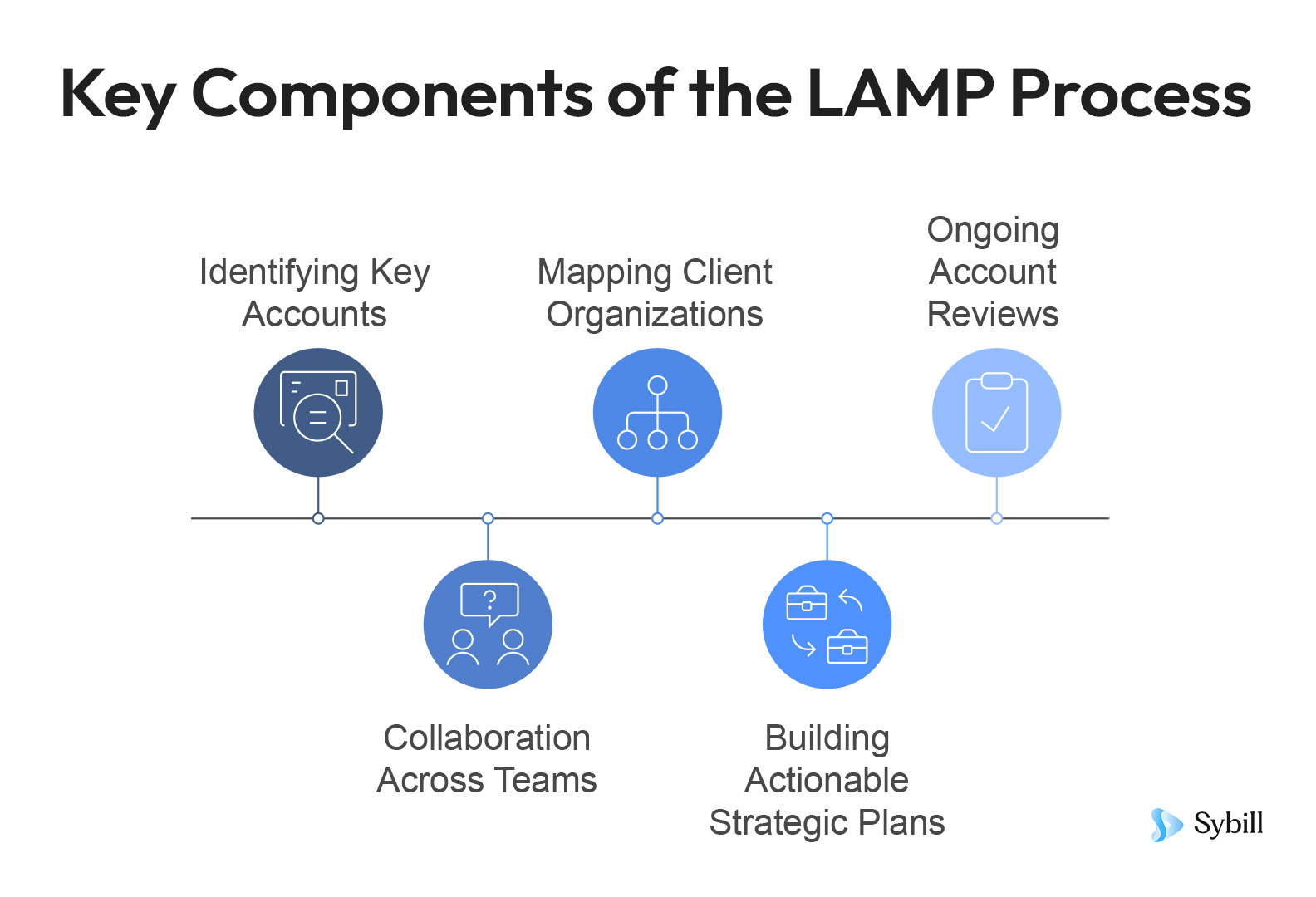 Miller Heiman LAMP: Mastering Large Account Management for Business Growth
