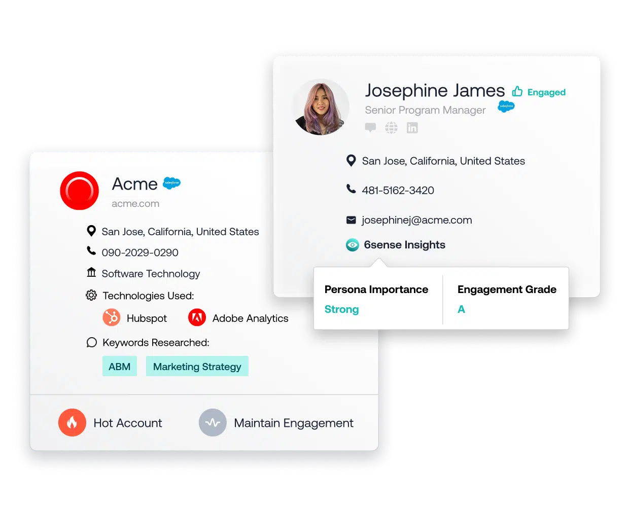 best account based marketing software