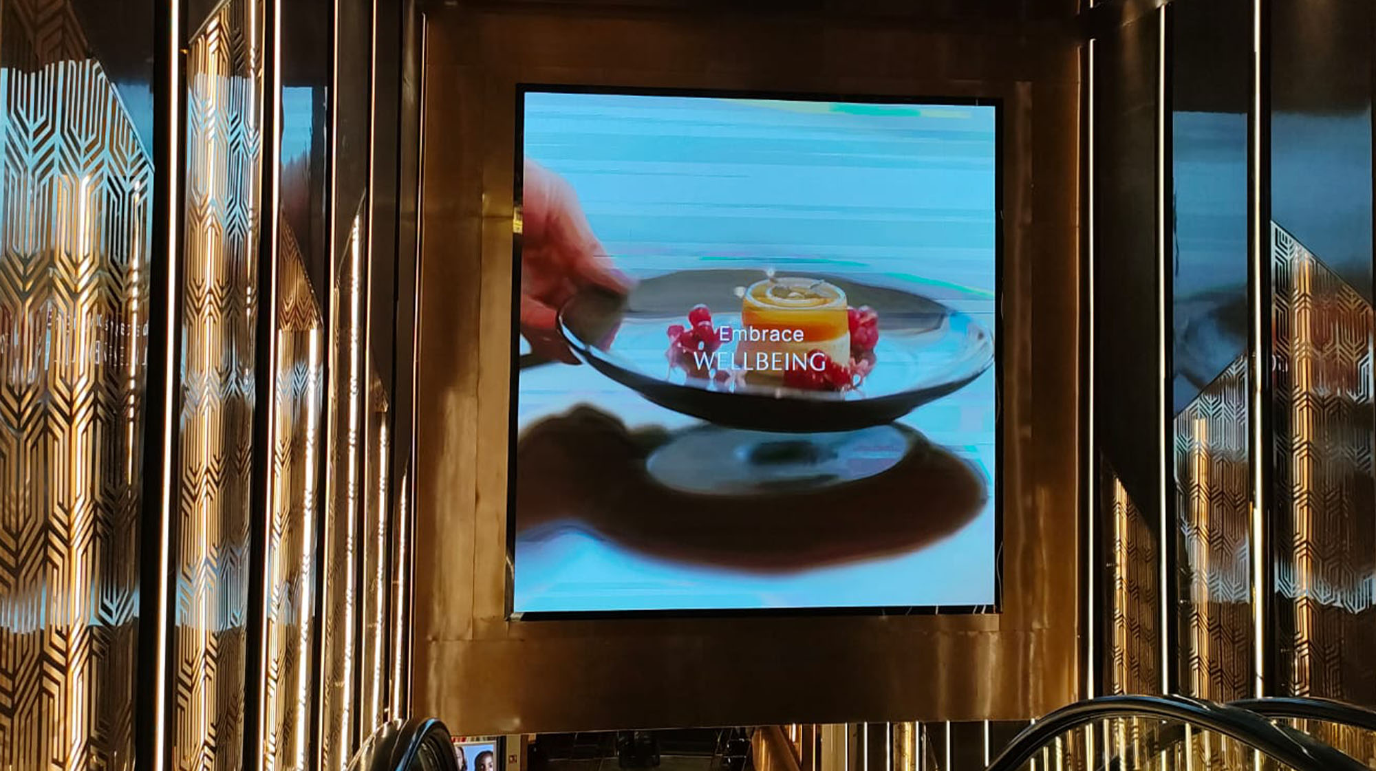 Dharana  X Palladium