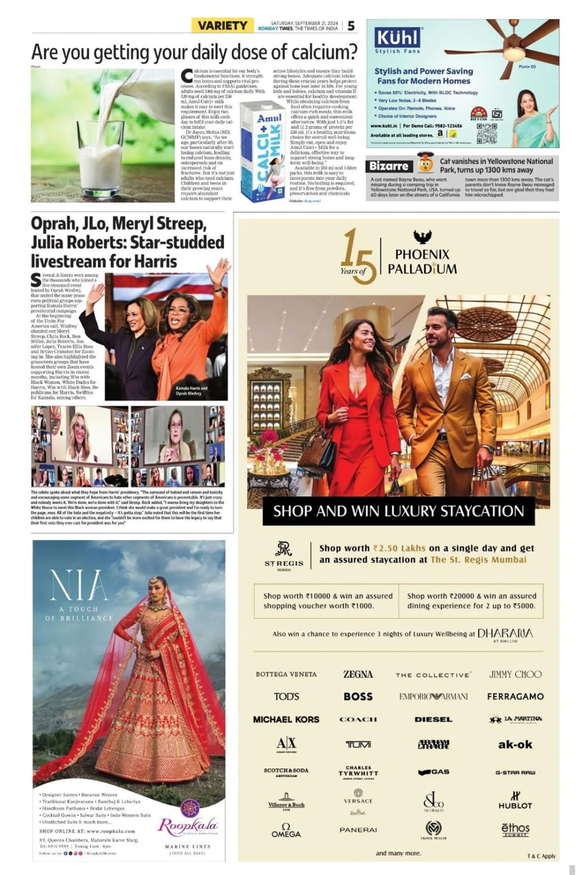 Dharana  X Palladium