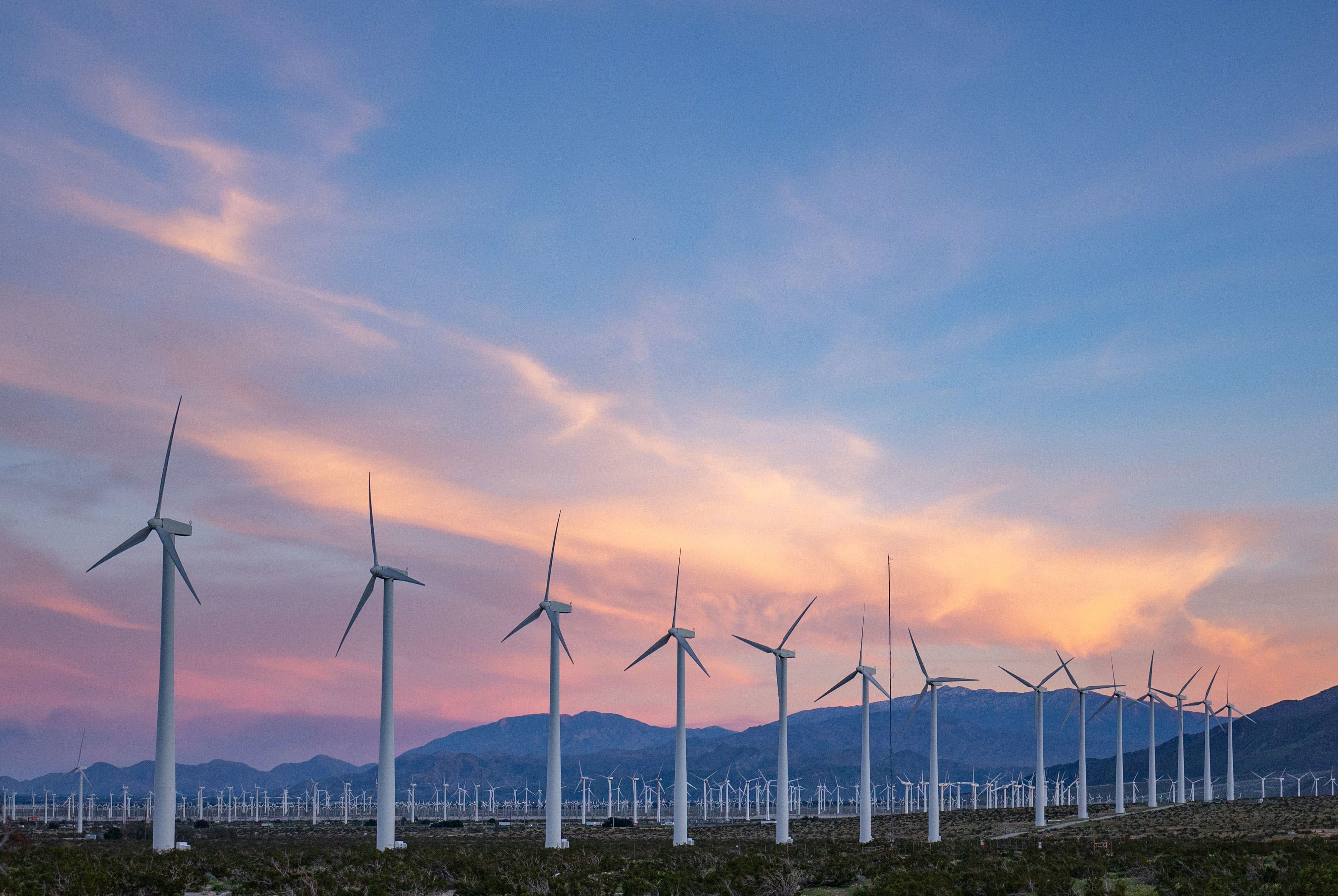 wind farm at sunset