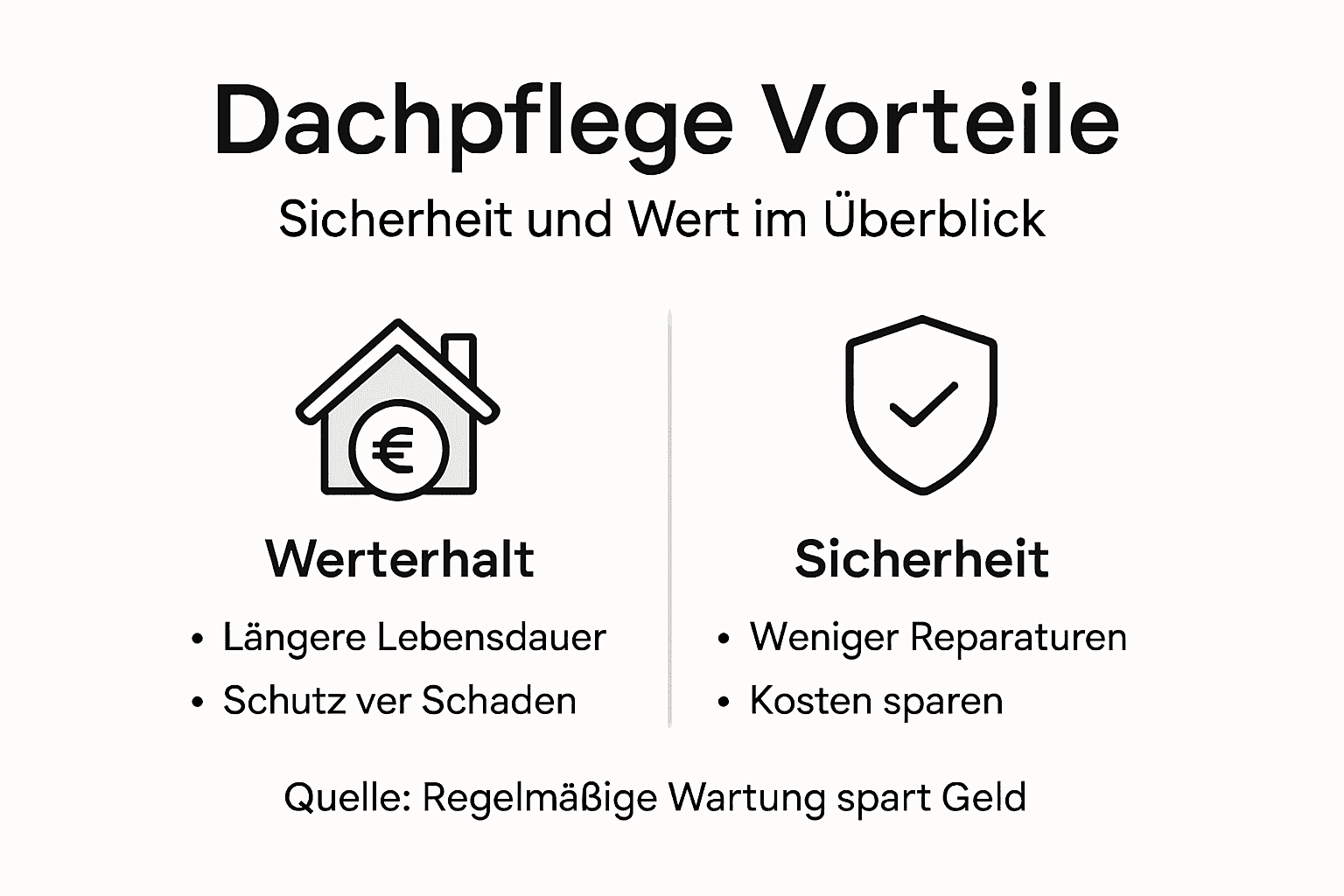 Infografik: Warum regelmäßige Dachpflege wichtig ist – Vorteile und Sicherheit im Überblick