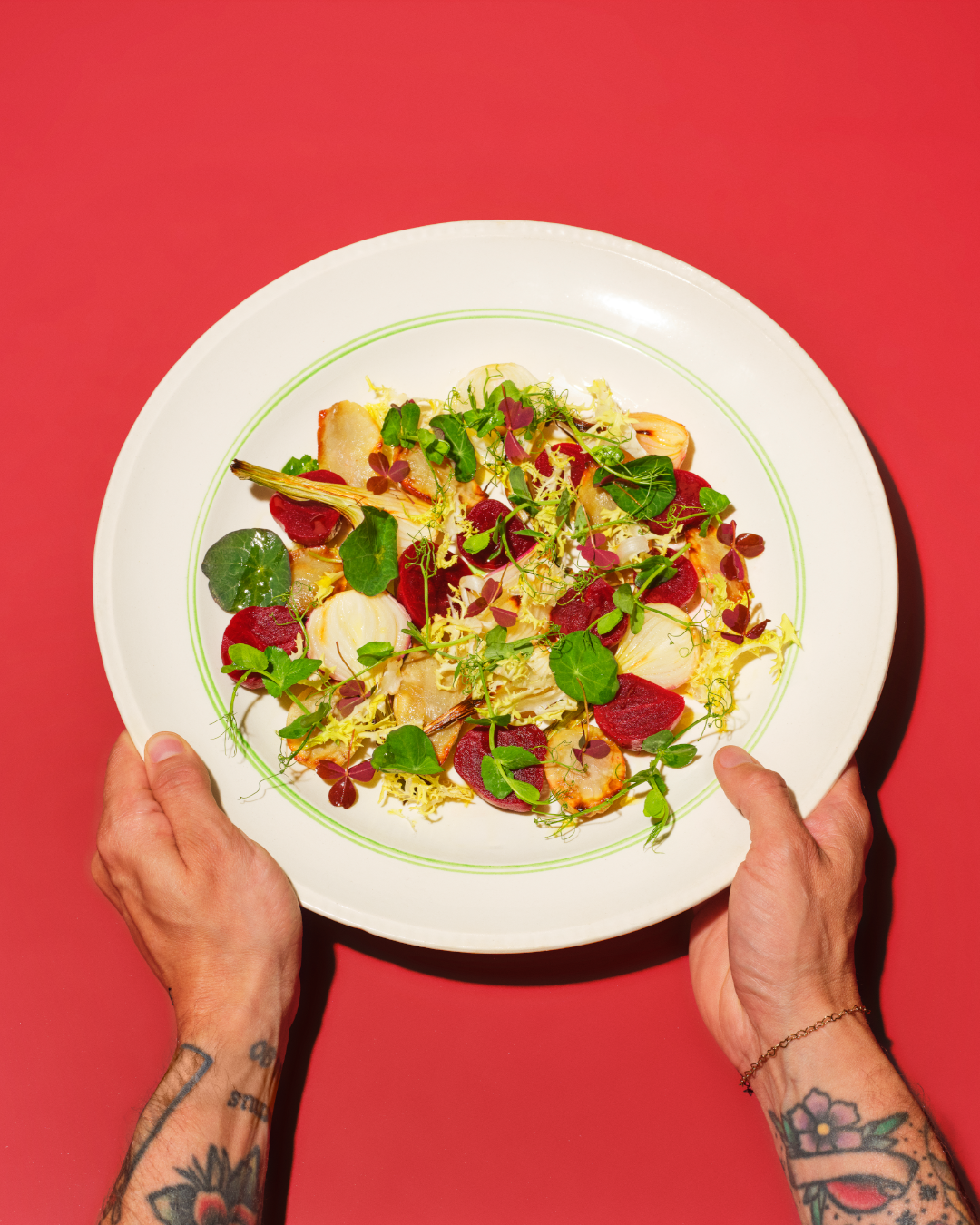 Råvarer af gulerødder, rødløg, champignon, spidskål og andre råvarer opstillet ved siden af hinanden