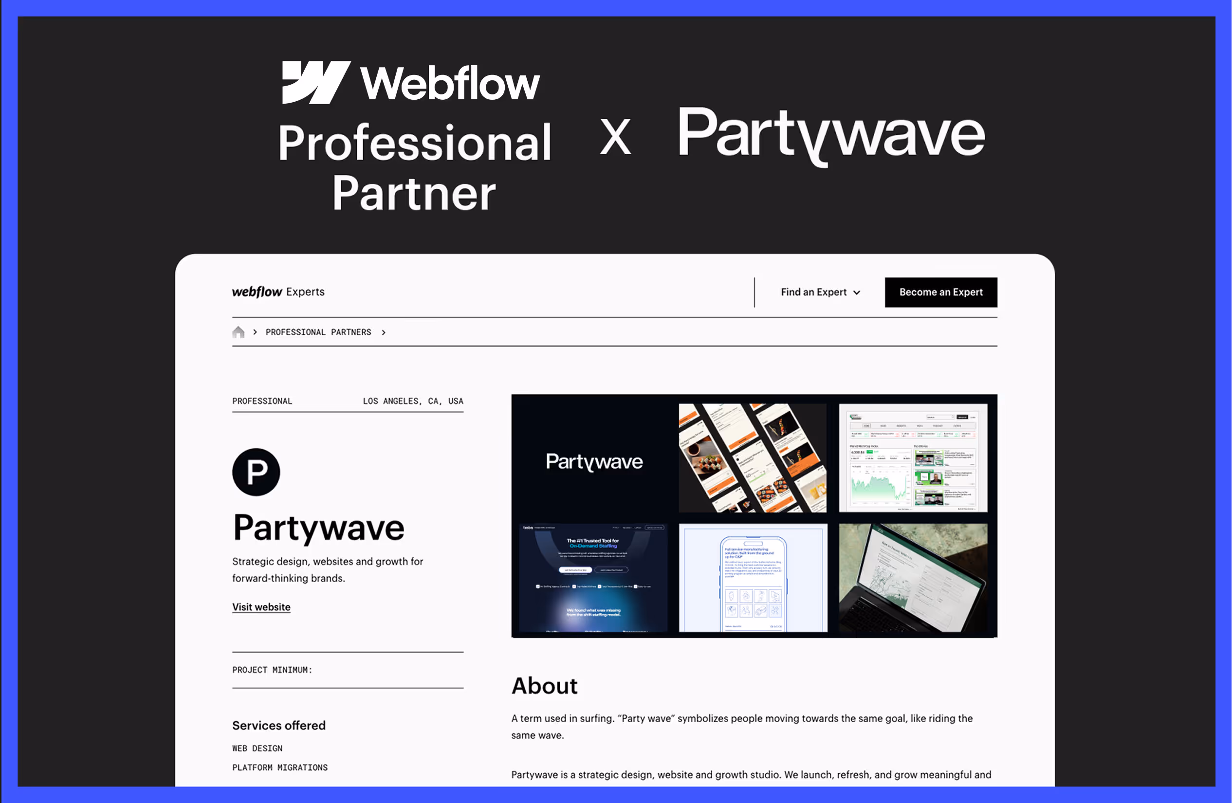 Partywave is an Official Webflow Professional Partner