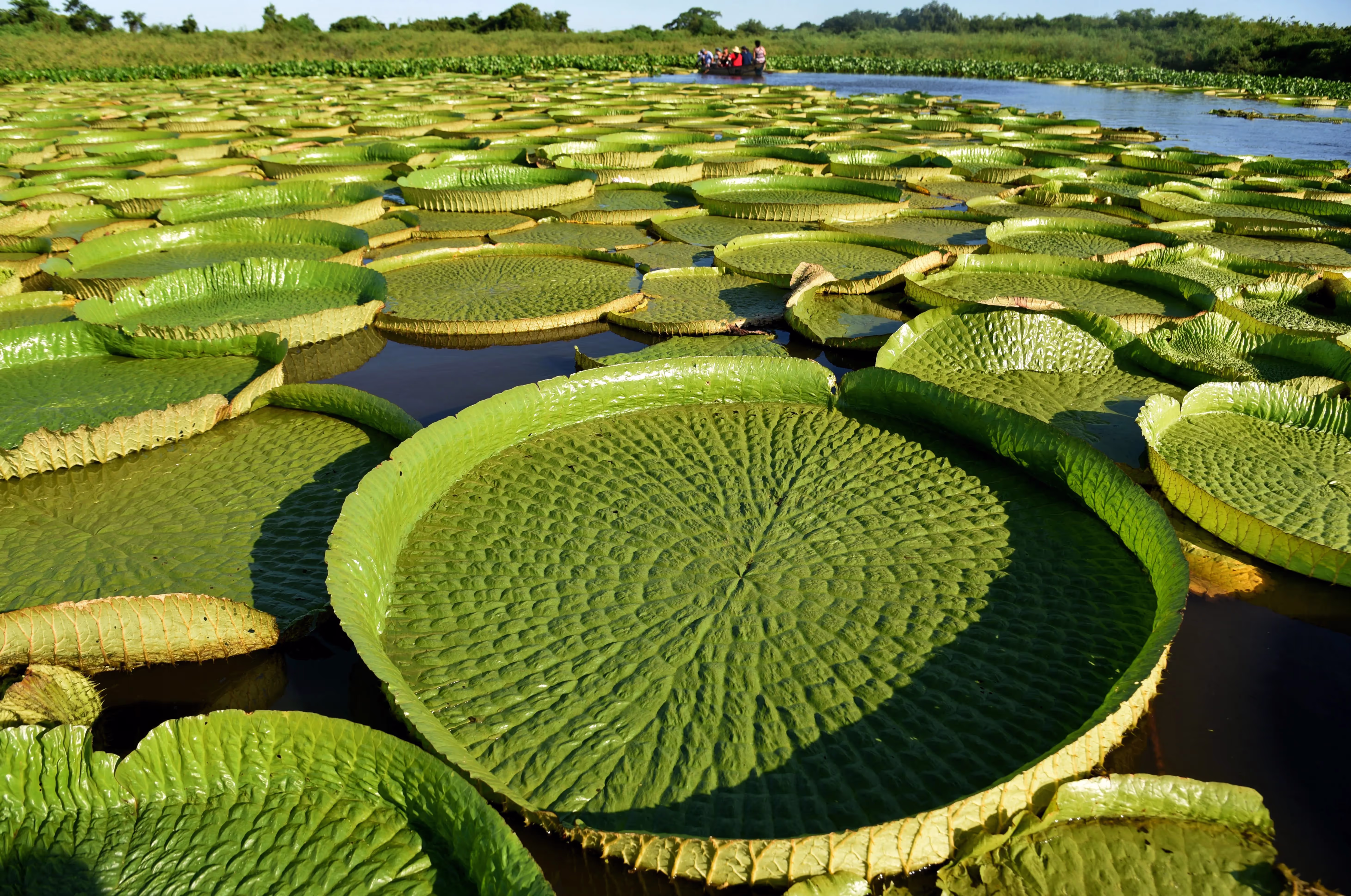 Paraguay River in Piquete Cué | NORBERTO DUARTE/AFP via Getty Images