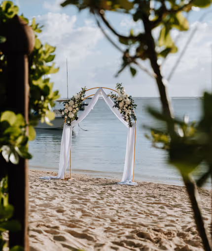 weddings at muse villas