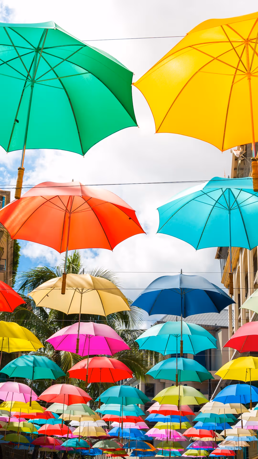 Cultural Tour - Muse Villa