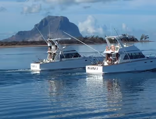 Pêche en haute mer - Muse Villa