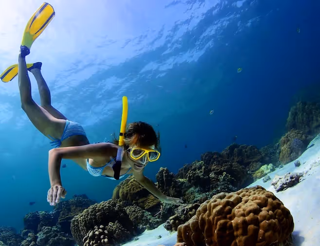 Excursions de plongée avec masque et tuba - Muse Villa