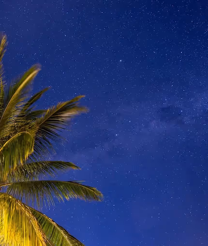 Star Gazing - Muse Villa