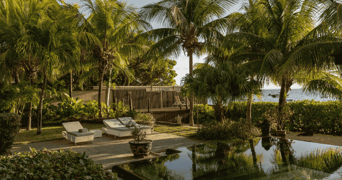 Tropical garden with palm trees, lounge chairs, and ocean view.
