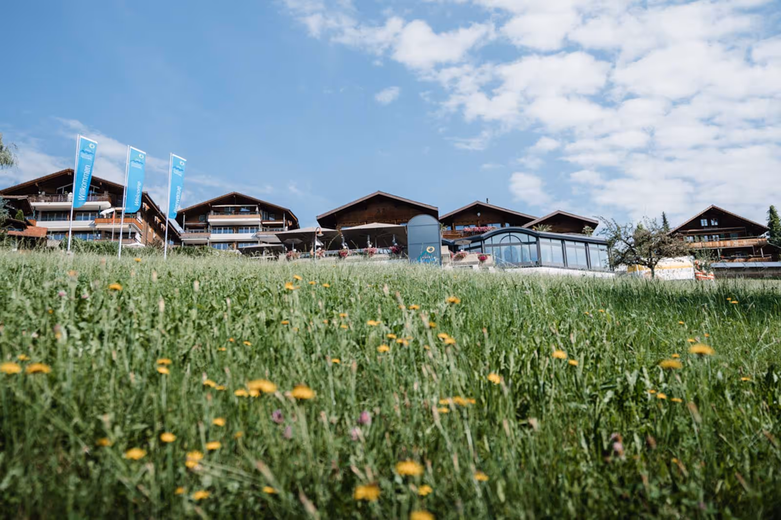Prairie avec fleurs et en arrière-plan l'hôtel vu de l'extérieur