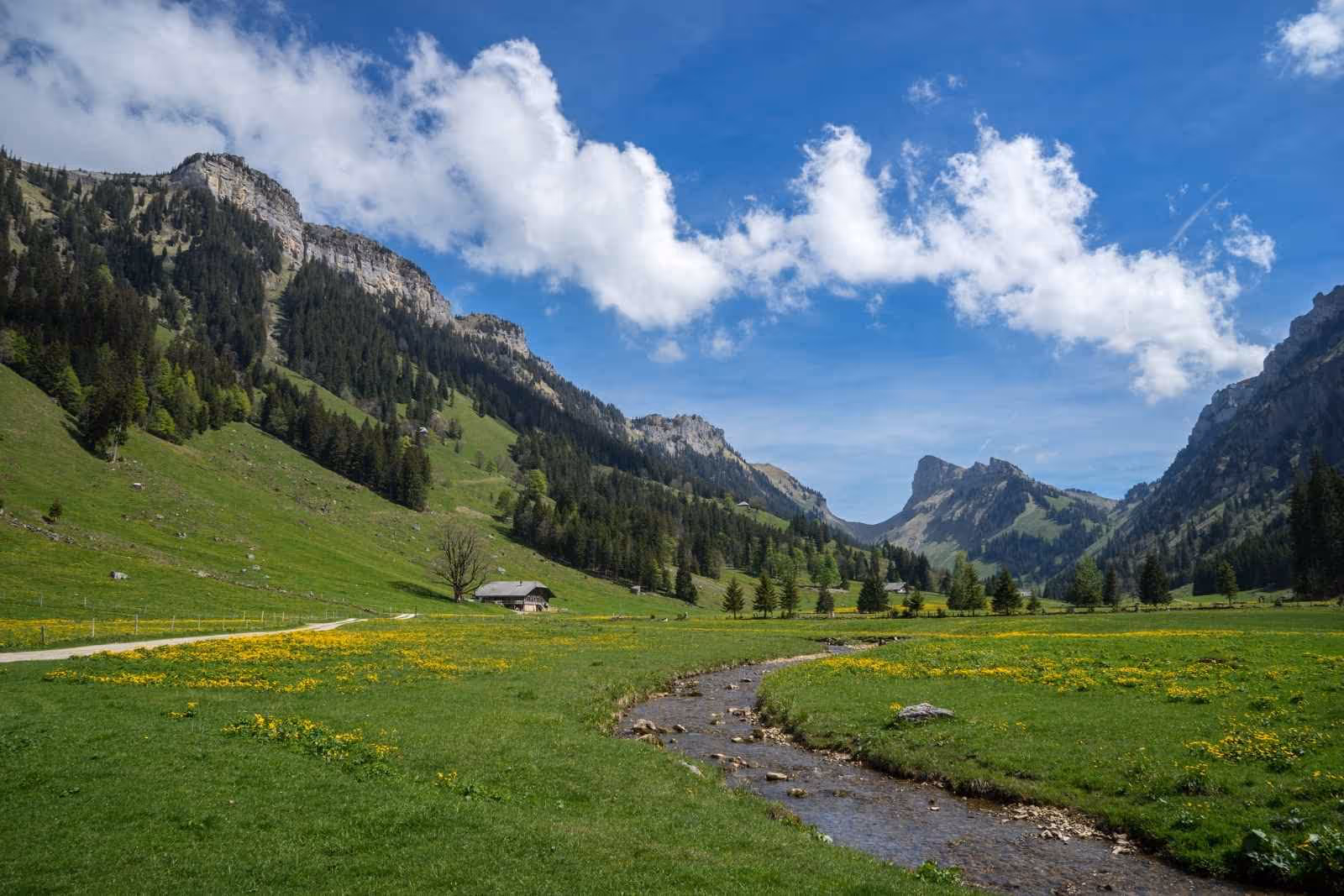 Grüne Wiese mit Bach und Berge im Hintergrund