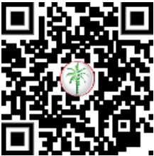 Semi-Furnished | Palm View | Ready to Move In