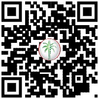 Live Moments From DIFC at Address Zabeel Towers