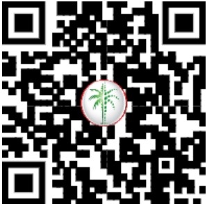 Brand New | Burj Al Arab and Sea View