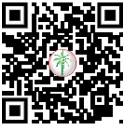 Fully Furnished | Renovated | Ready to Move in