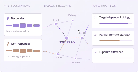 Scientific interpretation and reasoning: patient observations, biological reasoning network, and ranked hypotheses.