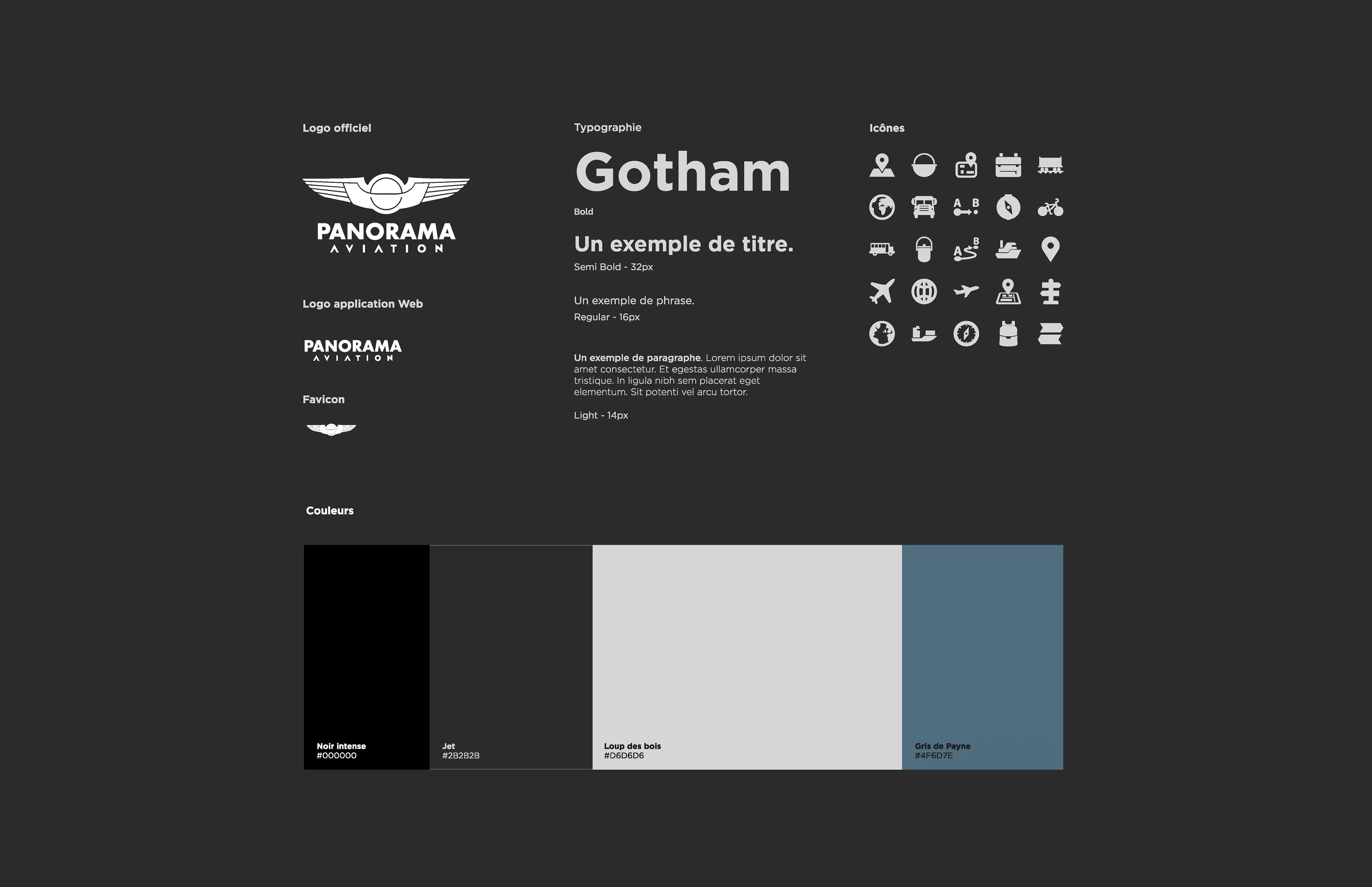 Guide de normes graphiques de Panorama Aviation