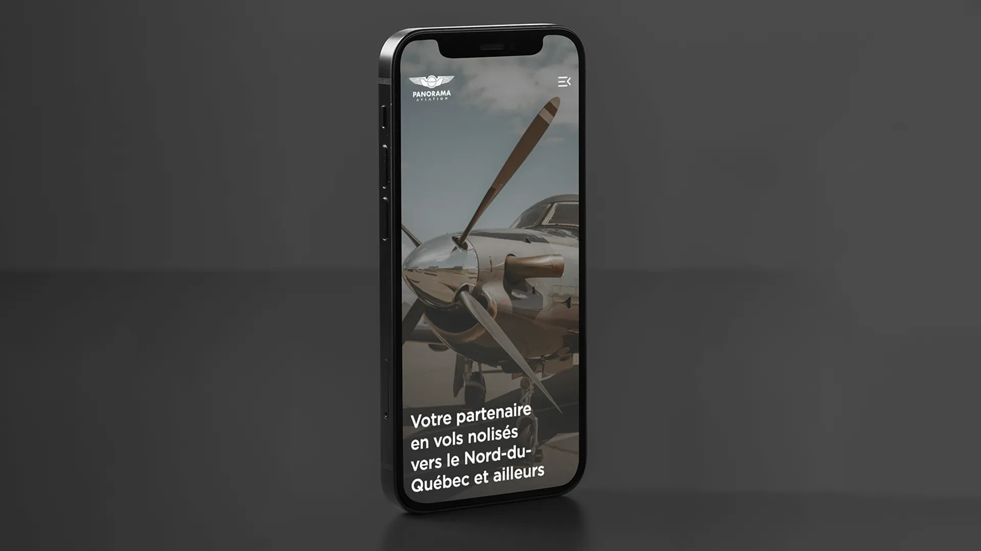 Site Web de Panorama Aviation