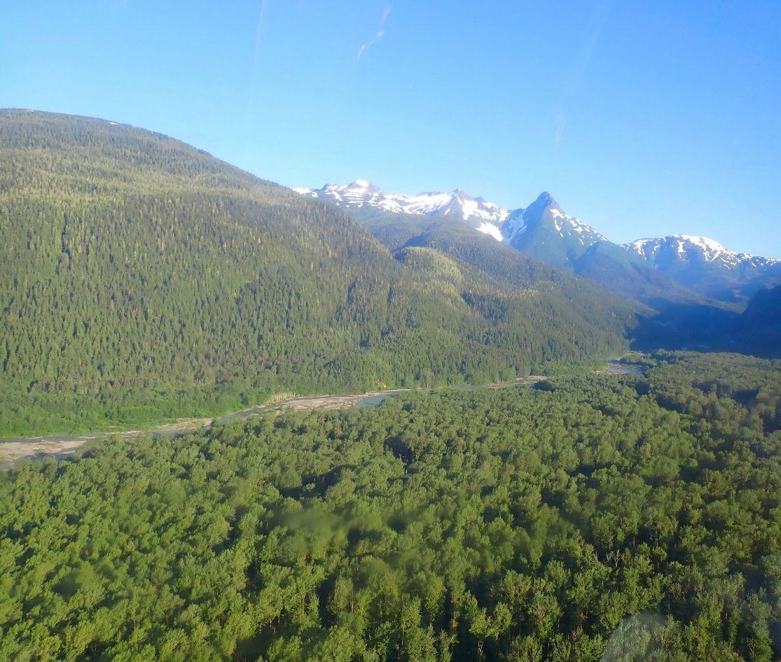 A forest and mountains with snow on the topAI-generated content may be incorrect.