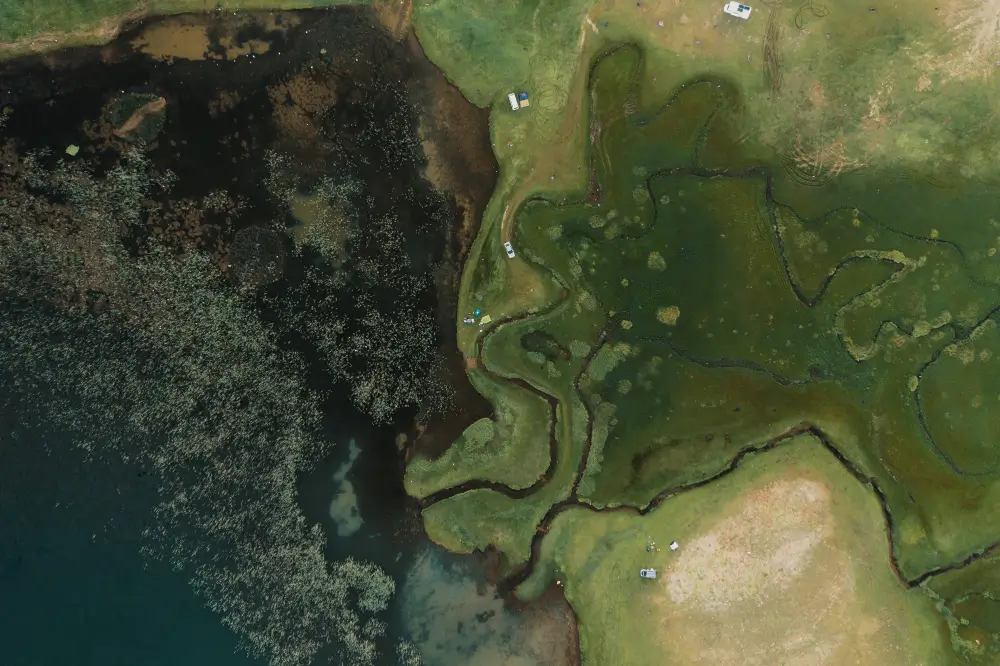 Aerial view of a swampy, green landscape