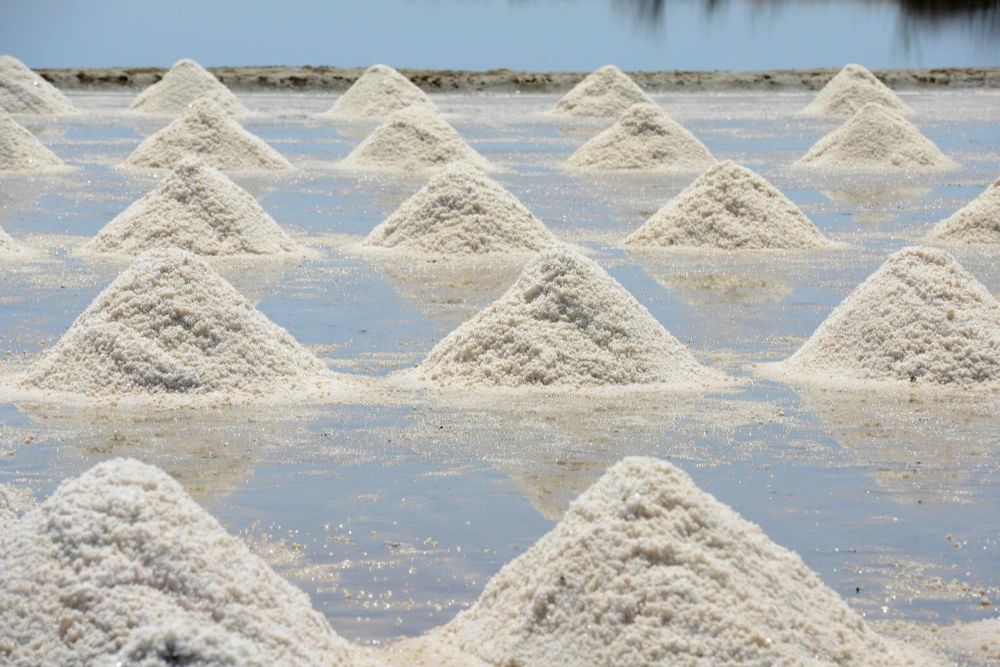 Varios lechos de sal con cristales de sal esparcidos cerca de un lago.