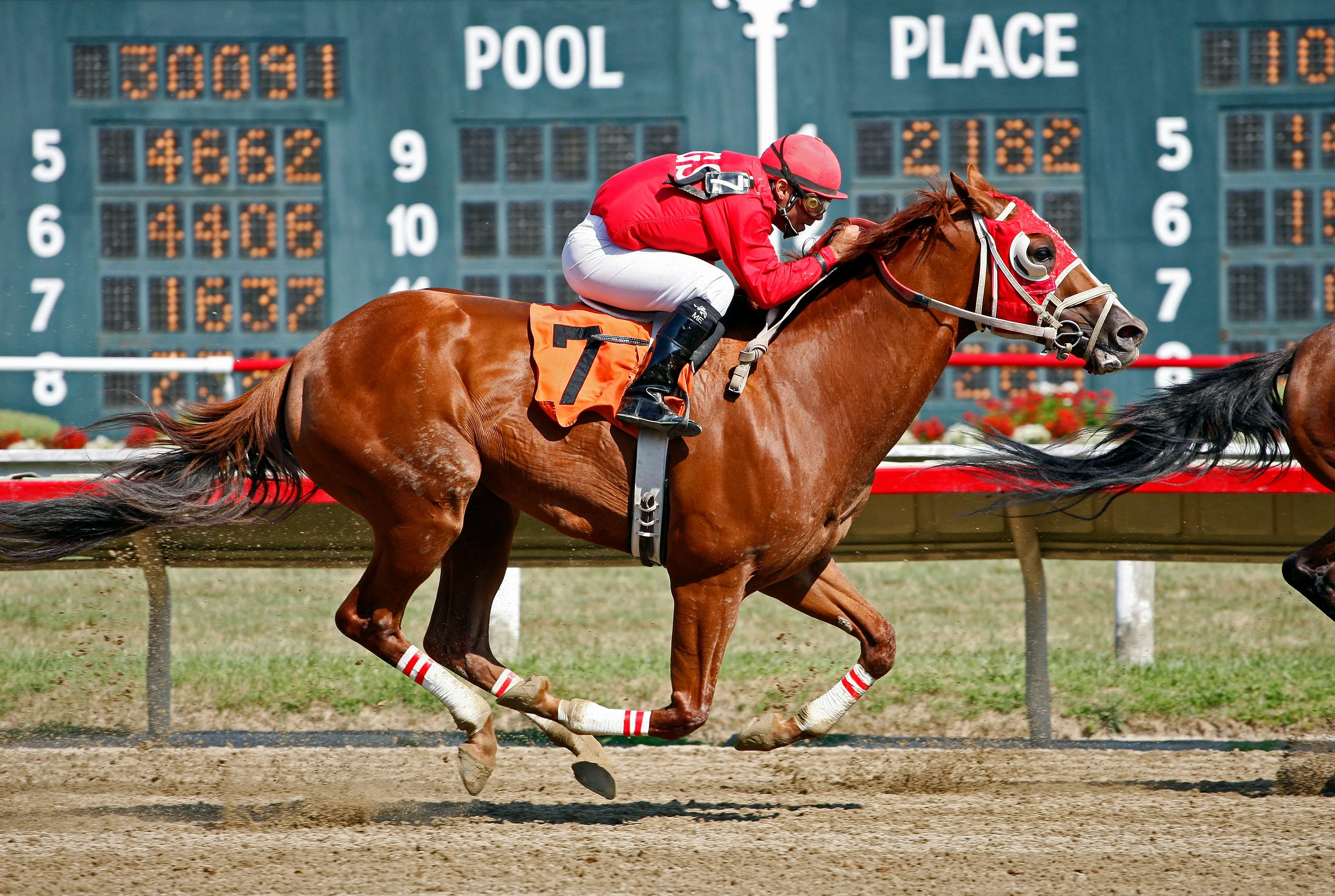 Our exclusive luxury Horse Racing Events ...