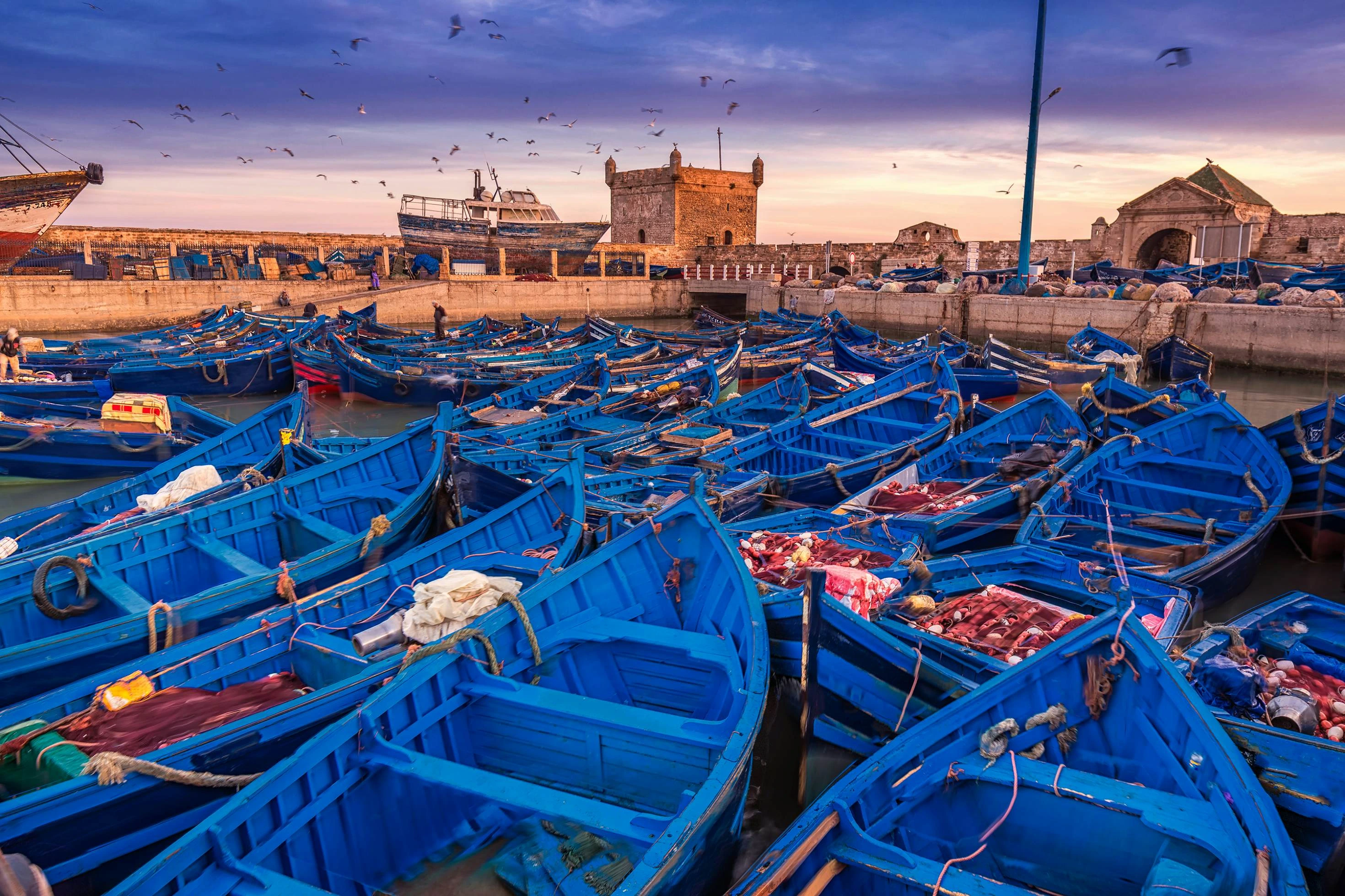 Travel to the breezy Atlantic town of Essaouira for a coastal day trip. Wander the historic ramparts, visit the medina, and enjoy fresh seafood along the harbor. Discover local artisans and soak in the laid-back charm before returning to Marrakech for your final evening.