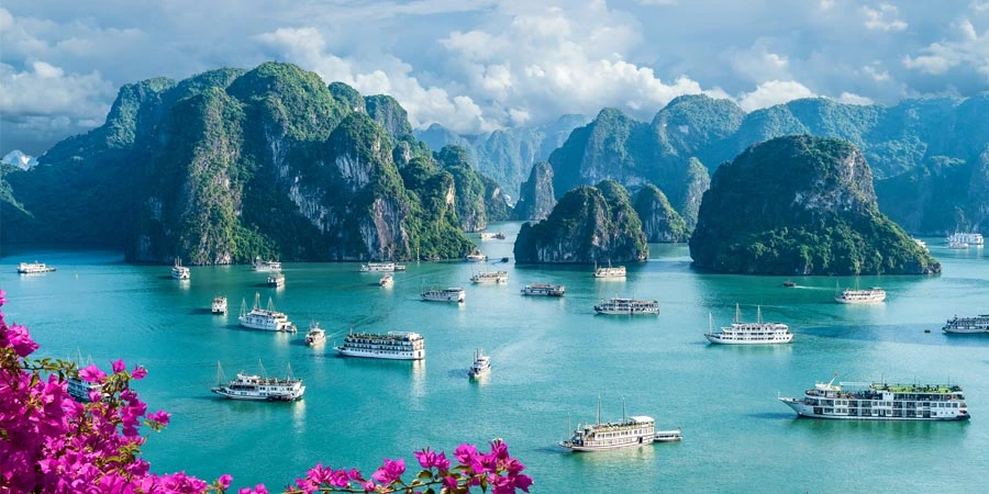 Cruise into UNESCO-listed Ha Long Bay, surrounded by dramatic limestone karsts and emerald waters. Kayak hidden lagoons, explore floating villages, or join a Tai Chi session on a traditional junk boat. Optional excursions include Hanoi’s temples, museums, and street eats. Return for a candlelit dinner with bay views and local seafood delights. Enjoy every detail, from handcrafted cuisine and curated excursions to starlit evenings aboard your floating sanctuary.