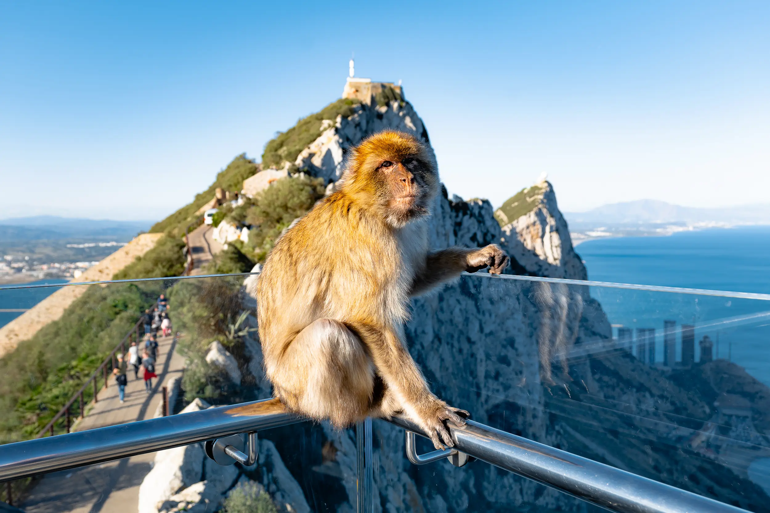 Step into history in Gibraltar, beginning with panoramic views from the iconic Rock. Spot wild Barbary macaques, explore the dramatic depths of St. Michael’s Cave, or venture into WWII tunnels carved into the limestone. Optional excursions include visits to the Mayor’s Parlour or historic convents. Return to Evrima for sunset cocktails, gourmet dining, and another refined evening filled with live music, fine wine, and elegant entertainment on the open sea.