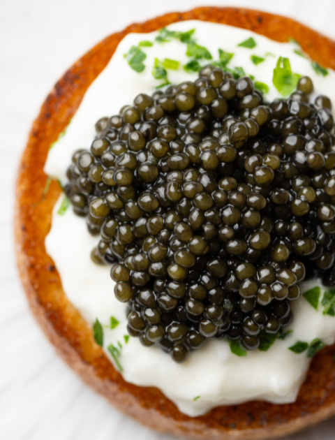 Thinly sliced crudo arranged in a rose-like pattern with caviar, herbs, and citrus on a textured blue glass plate—an elegant coastal Italian seafood dish from Marea.