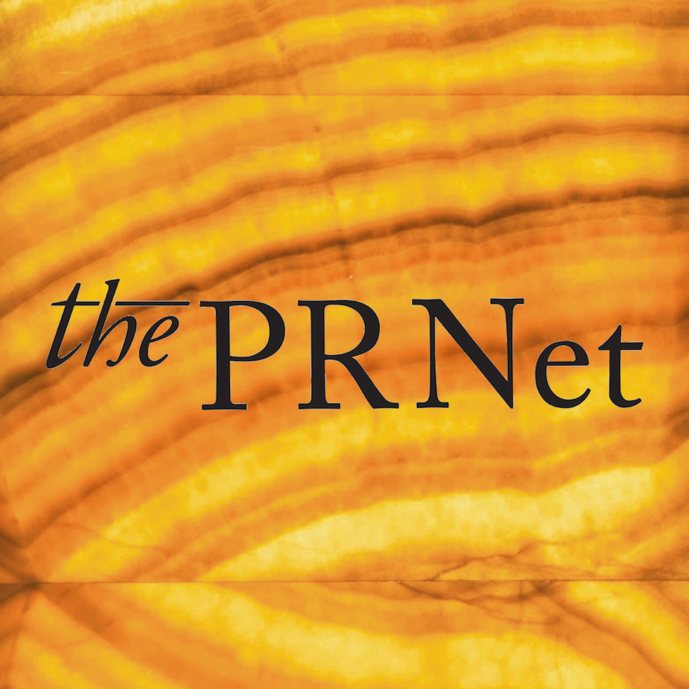 The PR Net Logo