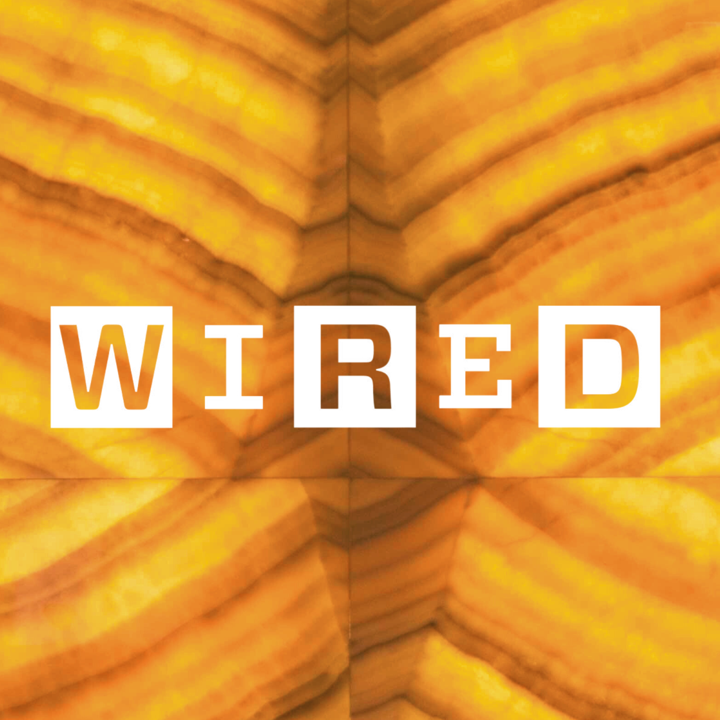 Wired logo