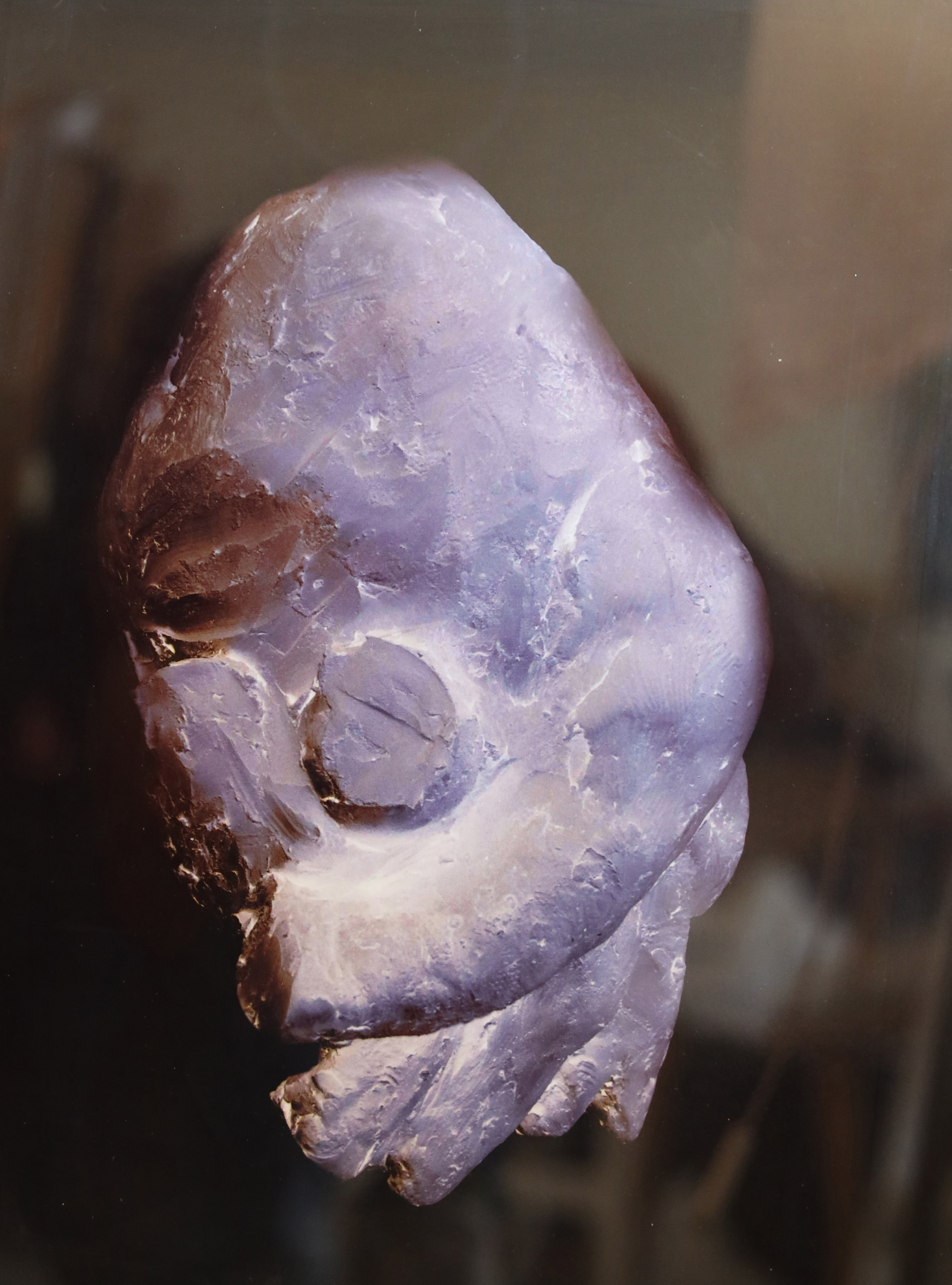 Création Artistique et imagerie médicale 7